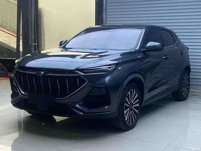 2021 Changan Oshan Changan Oushang X5 1.5T DCT Premium, фото 1, лот 11163506