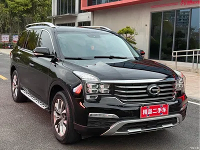 2017 GAC Trumpchi Trumpchi GS8 320T 2WD Luxury Smart Connect (7-seater), фото 3, лот 10416457