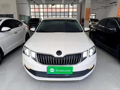 2019 Škoda Octavia 1.5L Automatic Smart Comfort China VI, фото 3, лот 10348009