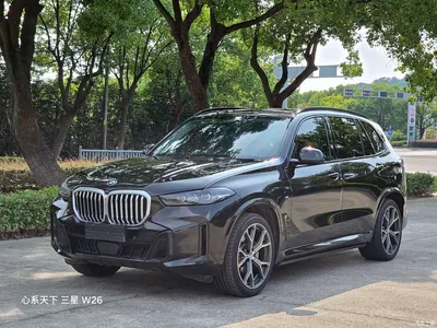 2023 BMW X5 xDrive 30Li Premium M Sport Black Night Package, фото 1, лот 10428931