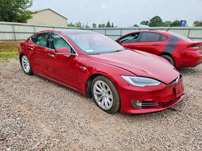 2019 TESLA MODEL S, фото 4, лот 11383658