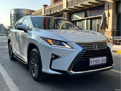 2016 Lexus RX 300 2WD Elite Edition (China V), фото 3, лот 10314059