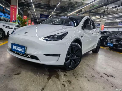 2024 Tesla Model Y Long Range AWD, фото 1, лот 10482279