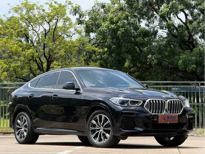 2022 BMW X6 Facelift xDrive40i M Sport Package, фото 3, лот 10481657