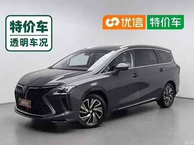 2022 Dongfeng Fengxing Yacht 1.5T DCT Wave Chaser Edition, фото 1, лот 11164753