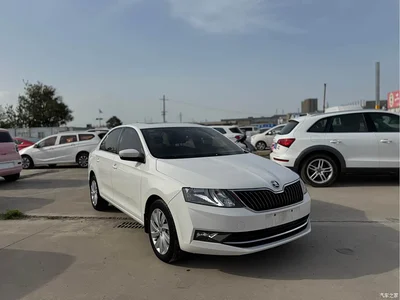 2019 Škoda Rapid 1.5L Automatic Comfort Version China VI, фото 3, лот 10348863