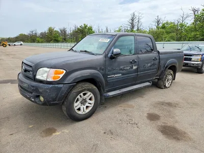 2004 TOYOTA TUNDRA, фото 1, лот 10984479