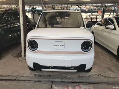 2024 Geely Galaxy Panda mini 200km Endurance Bear, фото 2, лот 10431328