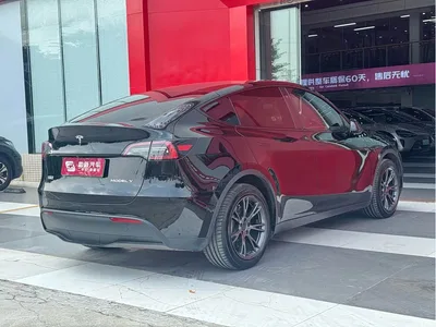 2023 Tesla Model Y Long Range All-Wheel Drive Edition, фото 3, лот 10902551