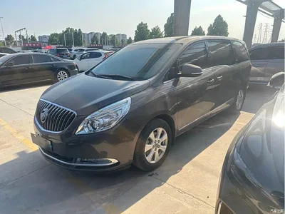 2014 Buick GL8, фото 1, лот 10244897