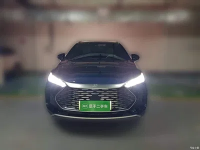 2024 Byd Tang, фото 2, лот 10244326