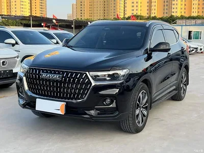 2023 Haval H6 National Trend Edition 1.5T Automatic Champion, фото 1, лот 10283154