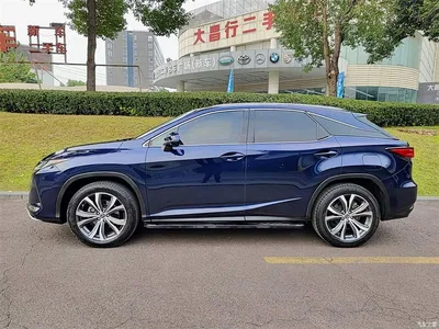 2020 Lexus RX Facelift 300 AWD Elegance Edition, фото 3, лот 10316120
