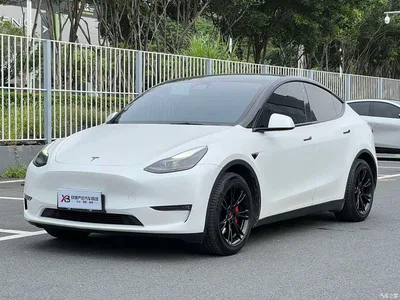 2021 Tesla Model Y Standard Range Rear-Wheel Drive, фото 1, лот 11102454