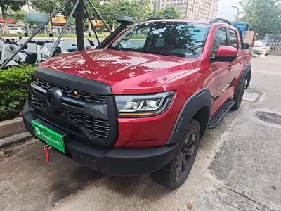 2020 Great Wall Pao 2.0T Off-Road Auto Gasoline 4WD Premium Edition GW4C20B, фото 2, лот 10435209