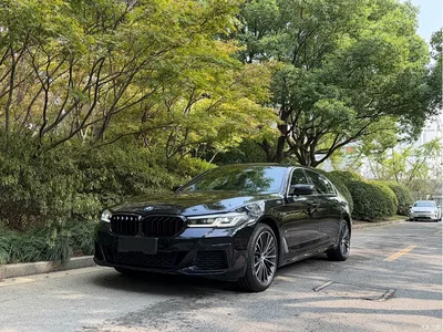 2021 BMW 5 Series 530Li Leading M Sport Package, фото 1, лот 11187166