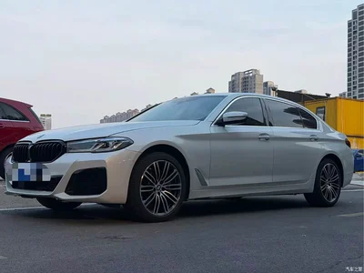 2022 BMW 5 Series 530Li Exclusive Luxury Package, фото 1, лот 10662056