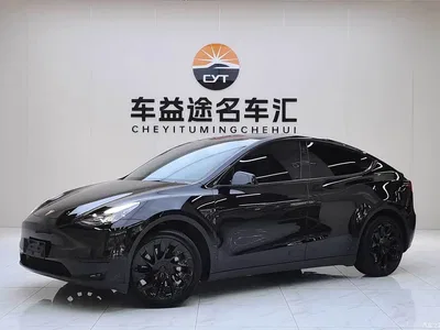 2022 Tesla Model Y Facelift Rear-Wheel Drive Version, фото 1, лот 10956480