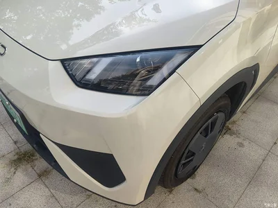 2025 BYD Seagull Smart Drive Edition 305km Vitality Version, фото 4, лот 10587456
