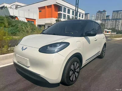 2025 Wuling Motors Wuling Bingo Model 333km Smart Connect, фото 1, лот 10367605