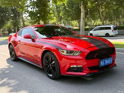 2015 Ford Mustang 2.3T 50th Anniversary Edition, фото 3, лот 10280202