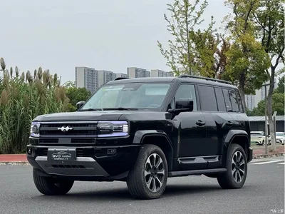 2025 Byd Leopard 5 Celestial Smart Drive Ultra Edition, фото 1, лот 10822346