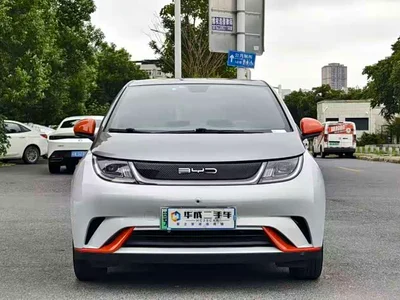 2021 BYD Dolphin Model 405km Fashion Edition, фото 2, лот 10247888