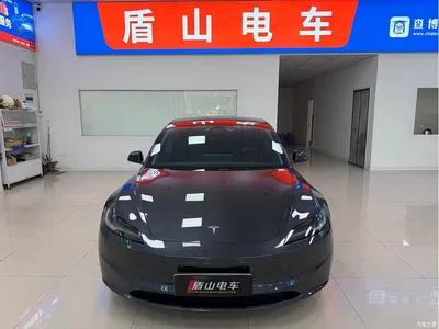 2023 Tesla Model 3 Long Range All-Wheel Drive, фото 2, лот 10354393