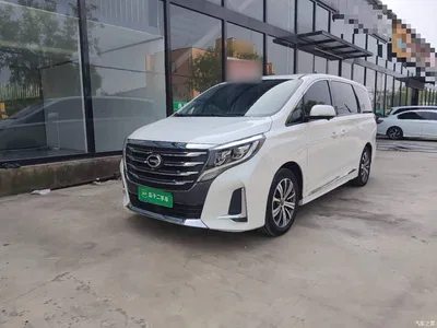 2020 GAC Trumpchi Trumpchi M8 Pilot 390T Flagship Edition, фото 1, лот 10422263