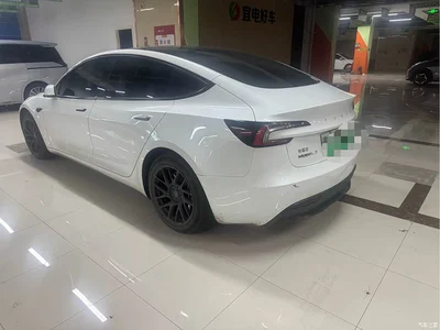 2023 Tesla Model 3 Rear-Wheel Drive, фото 3, лот 10331443