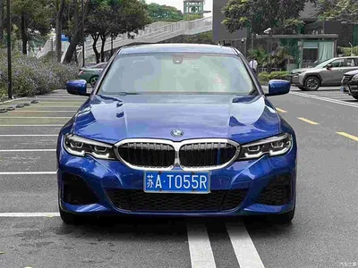 2020 BMW 3 Series 320Li M Sport Package, фото 1, лот 11012081