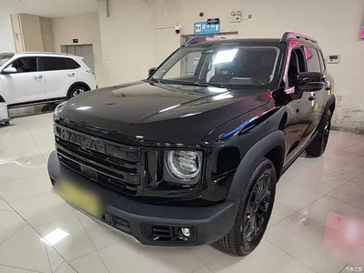 2024 Haval Big Dog 1.5T DCT Border Collie Edition, фото 1, лот 10388558