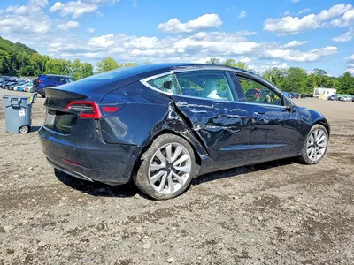 2019 TESLA MODEL 3, фото 3, лот 10856411