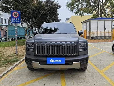 2025 Haval Menglong 2.0T 4WD Ultra, фото 2, лот 10893915