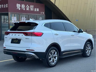 2021 Haval H6 National Trend Edition 1.5GDIT Automatic Champion Edition, фото 4, лот 10996279