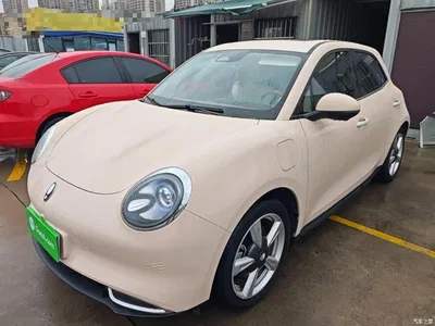 2023 Ora Good Cat 401km Standard Range Luxury LFP, фото 2, лот 11511810