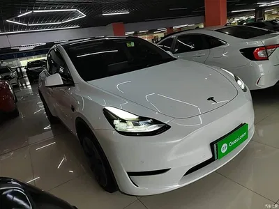 2022 Tesla Model Y Rear-Wheel Drive Version, фото 4, лот 10890522