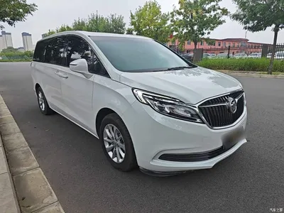 2018 Buick GL8 ES 28T Comfort Type China VI, фото 4, лот 10260091