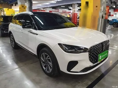 2023 Lincoln Adventurer 2.0T 2WD Zunxiang Edition, фото 4, лот 10621379