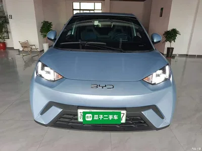 2024 BYD Seagull Glory Edition 305km Freedom Edition, фото 3, лот 10263000