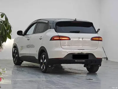 2024 Wuling Motors Wuling Binguo PLUS Model 330km 5-Seater, фото 4, лот 11448300