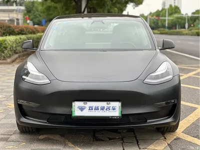 2019 Tesla Model 3 (Import) Long Range All-Wheel Drive Edition, фото 2, лот 10360863