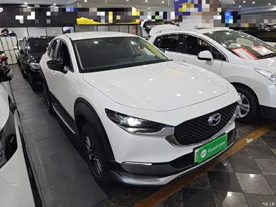 2021 Mazda CX-30 EV Pure Electric Enjoyment Edition, фото 4, лот 11449151
