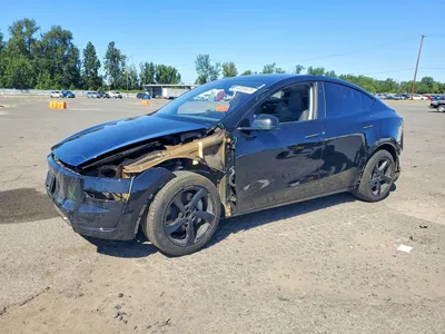 2026 TESLA MODEL Y, фото 1, лот 10971293