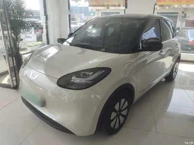 2024 Wuling Motors Wuling Bingo 333km Smart Connect Edition, фото 1, лот 10377293