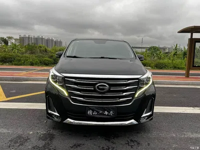 2020 GAC Trumpchi Trumpchi M8 Pilot 390T Prestige Edition, фото 2, лот 10418350