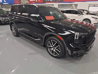 2022 GAC Trumpchi Trumpchi GS8 Pilot Series 2.0TGDI 2WD Luxury Smart Connect Edition (7-Seater), фото 4, лот 11300994