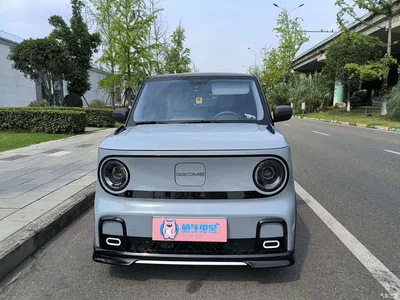 2025 Geely Galaxy Panda Model Year 210km Panda Kart, фото 2, лот 10431374