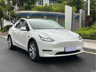2021 Tesla Model Y Standard Range Rear-Wheel Drive, фото 3, лот 10391689