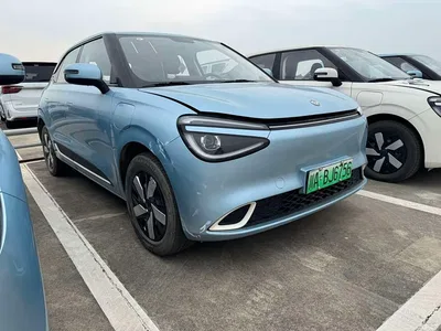 2024 Dongfeng Yipai Nano 01 330 Air, фото 3, лот 10835152